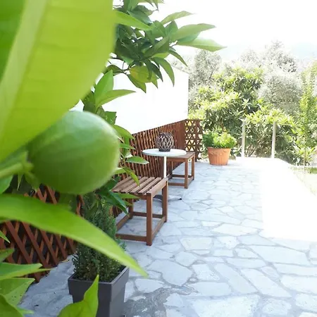 Διαμέρισμα Thea Fresh